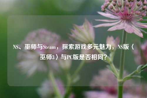 NS、巫师与Steam，探索游戏多元魅力，NS版〈巫师3〉与PC版是否相同？