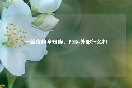 一篇攻略全知晓，PUBG外服怎么打