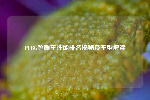PUBG蹦蹦车性能排名揭秘及车型解读