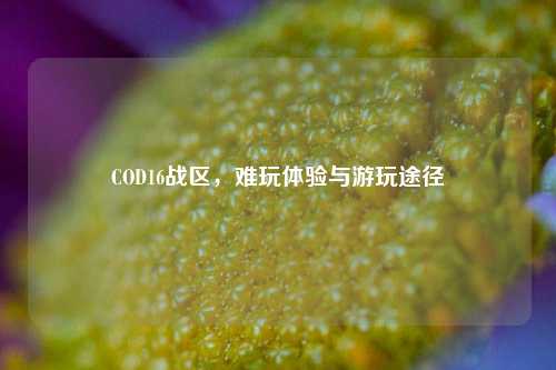 COD16战区，难玩体验与游玩途径