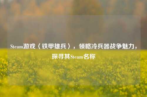 Steam游戏〈铁甲雄兵〉，领略冷兵器战争魅力，探寻其Steam名称