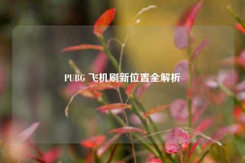 PUBG 飞机刷新位置全解析