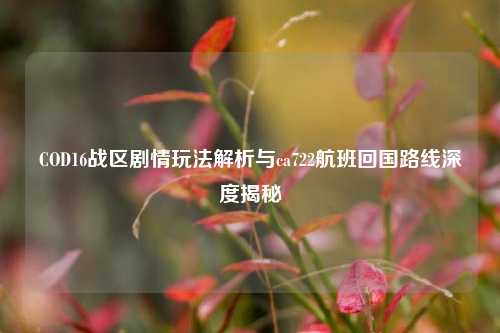 COD16战区剧情玩法解析与ca722航班回国路线深度揭秘