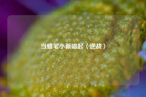 当蜡笔小新唱起〈逆战〉