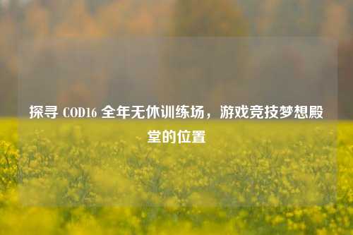 探寻 COD16 全年无休训练场，游戏竞技梦想殿堂的位置