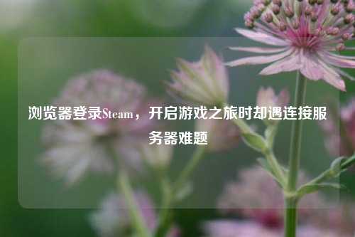 浏览器登录Steam，开启游戏之旅时却遇连接服务器难题