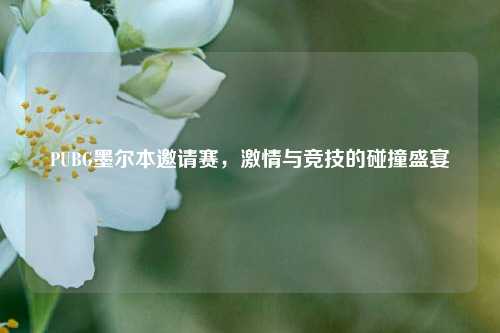 PUBG墨尔本邀请赛，激情与竞技的碰撞盛宴