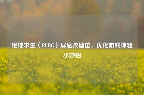 绝地求生（PUBG）屏息改键位，优化游戏体验小妙招