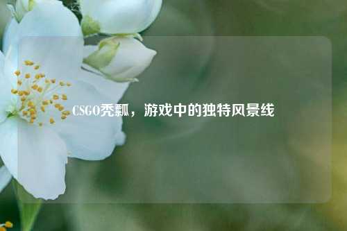 CSGO秃瓢，游戏中的独特风景线