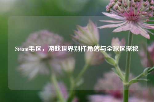 Steam毛区，游戏世界别样角落与全球区探秘