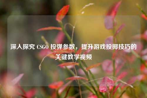 深入探究 CSGO 投弹参数，提升游戏投掷技巧的关键教学视频