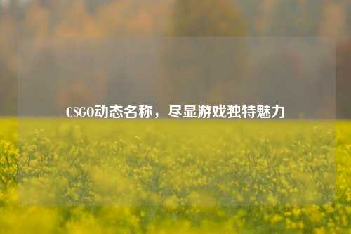 CSGO动态名称，尽显游戏独特魅力