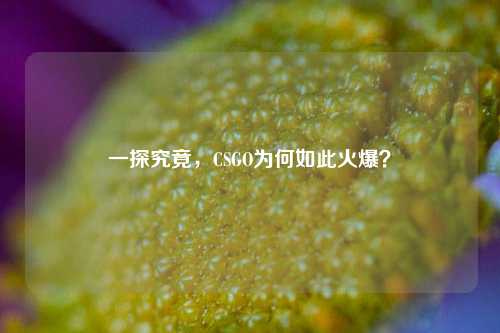 一探究竟，CSGO为何如此火爆？