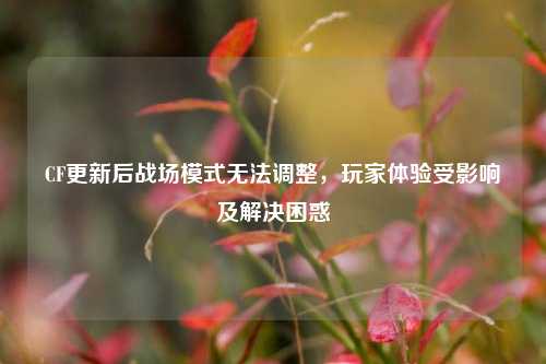 CF更新后战场模式无法调整，玩家体验受影响及解决困惑