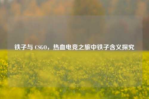 铁子与 CSGO，热血电竞之旅中铁子含义探究