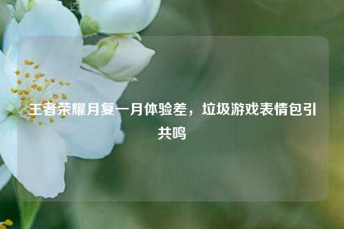 王者荣耀月复一月体验差，垃圾游戏表情包引共鸣