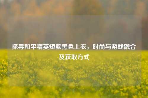 探寻和平精英短款黑色上衣,时尚与游戏融合及获取方式