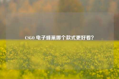 CSGO 电子蜂巢哪个款式更好看?