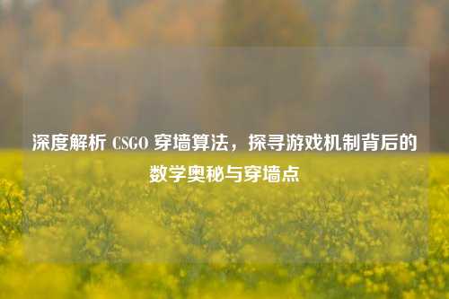 深度解析 CSGO 穿墙算法,探寻游戏机制背后的数学奥秘与穿墙点