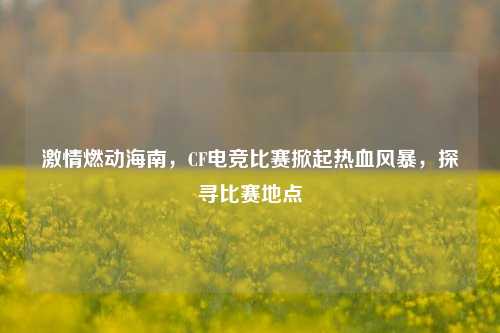 激情燃动海南,CF电竞比赛掀起热血风暴,探寻比赛地点