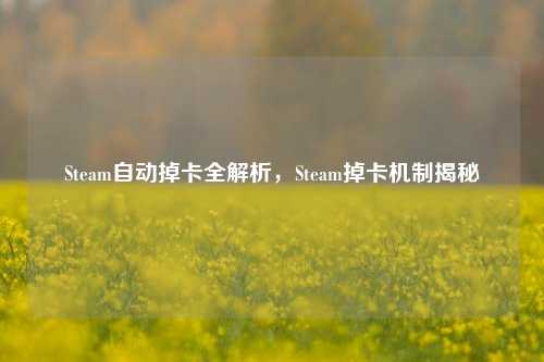 Steam自动掉卡全解析,Steam掉卡机制揭秘