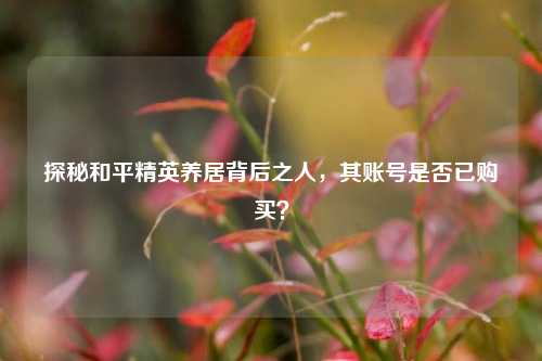 探秘和平精英养居背后之人,其账号是否已购买?