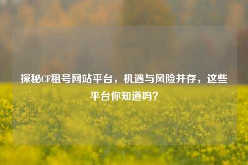 探秘CF租号网站平台,机遇与风险并存,这些平台你知道吗?