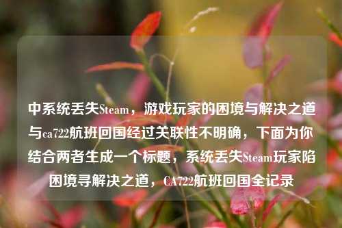 中系统丢失Steam,游戏玩家的困境与解决之道与ca722航班回国经过关联性不明确,下面为你结合两者生成一个标题,系统丢失Steam玩家陷困境寻解决之道,CA722航班回国全记录