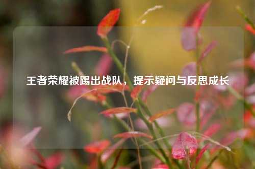 王者荣耀被踢出战队,提示疑问与反思成长