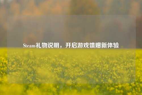 Steam礼物说明,开启游戏馈赠新体验
