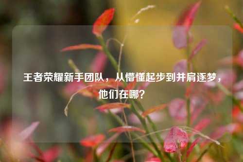 王者荣耀新手团队,从懵懂起步到并肩逐梦,他们在哪?