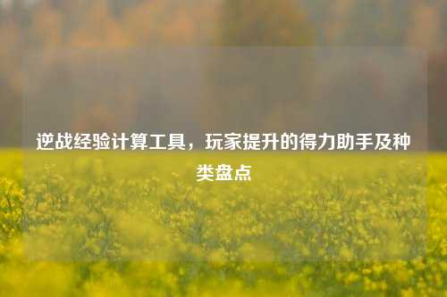 逆战经验计算工具,玩家提升的得力助手及种类盘点