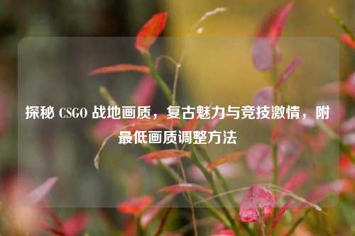探秘 CSGO 战地画质,复古魅力与竞技激情,附最低画质调整方法