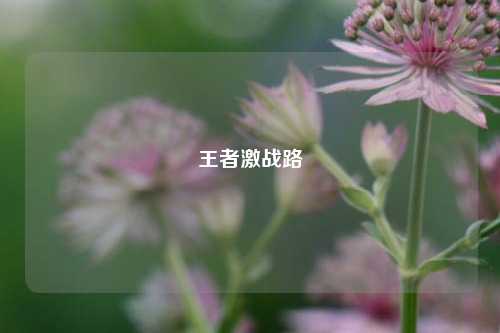 王者激战路