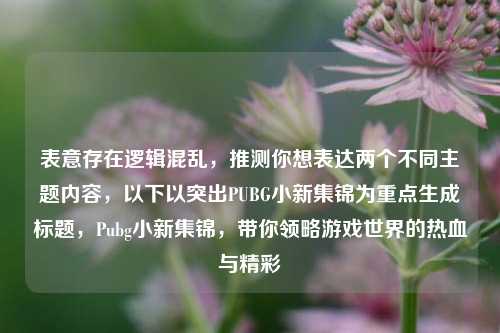 表意存在逻辑混乱，推测你想表达两个不同主题内容，以下以突出PUBG小新集锦为重点生成标题，Pubg小新集锦，带你领略游戏世界的热血与精彩