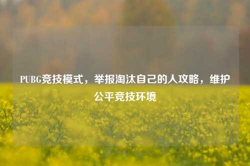 PUBG竞技模式,举报淘汰自己的人攻略,维护公平竞技环境