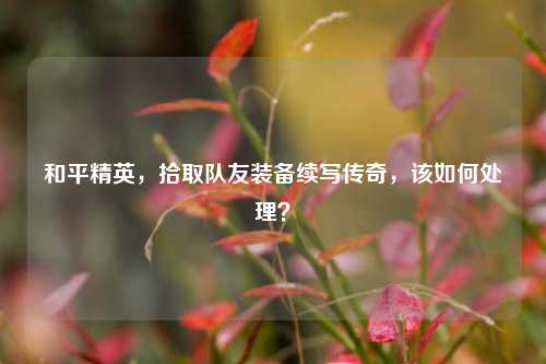 和平精英,拾取队友装备续写传奇,该如何处理?