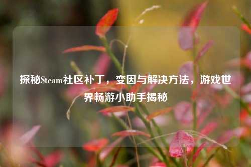 探秘Steam社区补丁,变因与解决方法,游戏世界畅游小助手揭秘