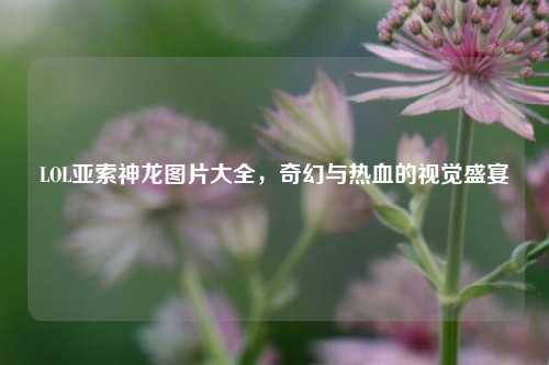 LOL亚索神龙图片大全,奇幻与热血的视觉盛宴