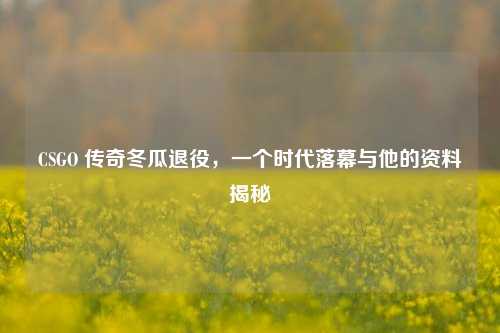 CSGO 传奇冬瓜退役,一个时代落幕与他的资料揭秘