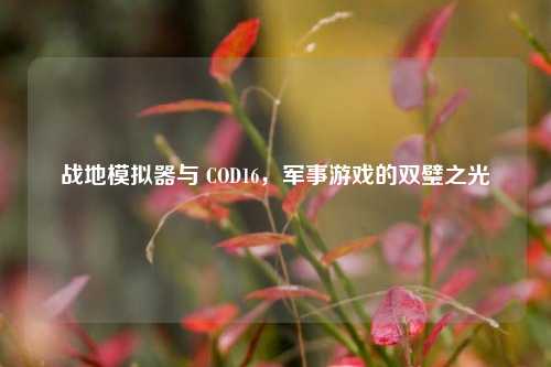 战地模拟器与 COD16，军事游戏的双璧之光
