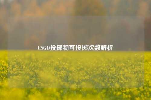 CSGO投掷物可投掷次数解析