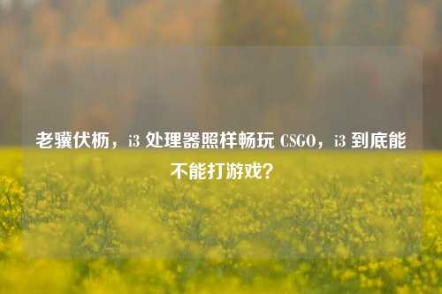 老骥伏枥,i3 处理器照样畅玩 CSGO,i3 到底能不能打游戏?