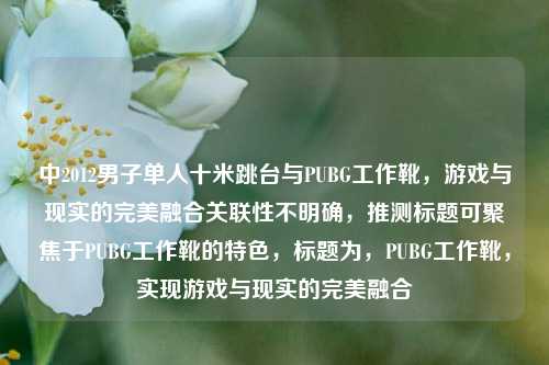 中2012男子单人十米跳台与PUBG工作靴,游戏与现实的完美融合关联性不明确,推测标题可聚焦于PUBG工作靴的特色,标题为,PUBG工作靴,实现游戏与现实的完美融合