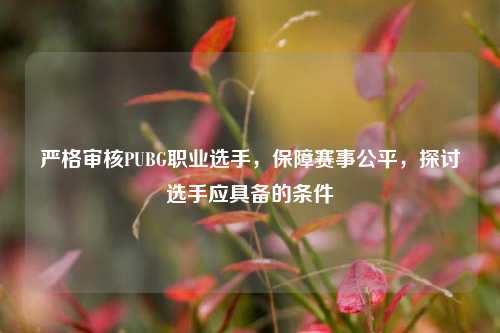 严格审核PUBG职业选手,保障赛事公平,探讨选手应具备的条件