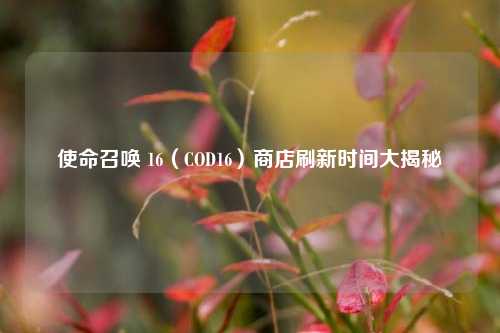 使命召唤 16(COD16)商店刷新时间大揭秘