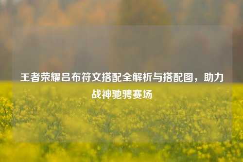 王者荣耀吕布符文搭配全解析与搭配图,助力战神驰骋赛场