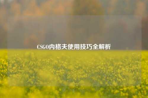 CSGO内格夫使用技巧全解析