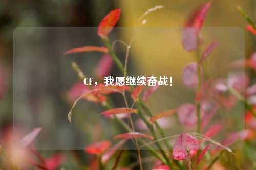 CF，我愿继续奋战！