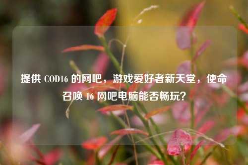 提供 COD16 的网吧,游戏爱好者新天堂,使命召唤 16 网吧电脑能否畅玩?